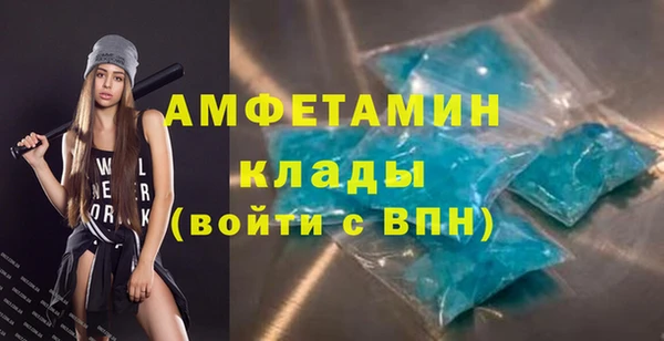 прущие грибы Бронницы