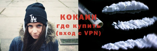 прущие грибы Бронницы