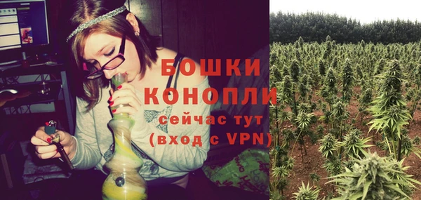 mdpv Бородино