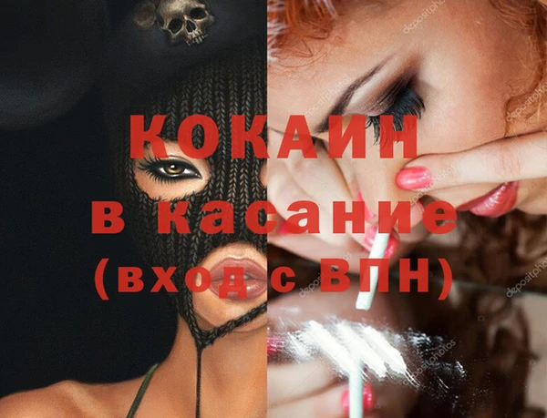 прущие грибы Бронницы