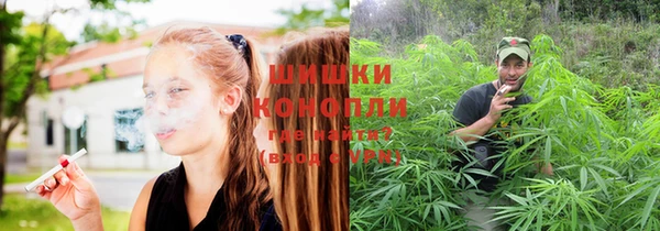 mdpv Бородино