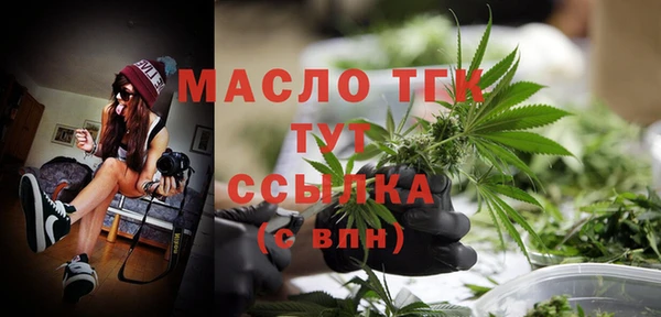 mdpv Бородино