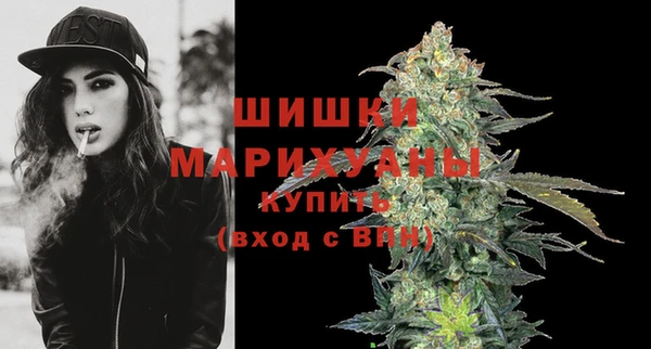 прущие грибы Бронницы