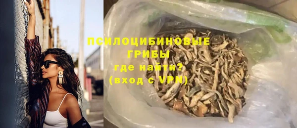 прущие грибы Бронницы