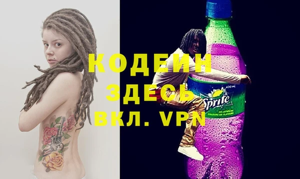 прущие грибы Бронницы