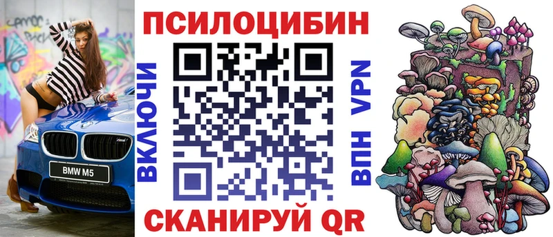 Псилоцибиновые грибы Psilocybe Ижевск